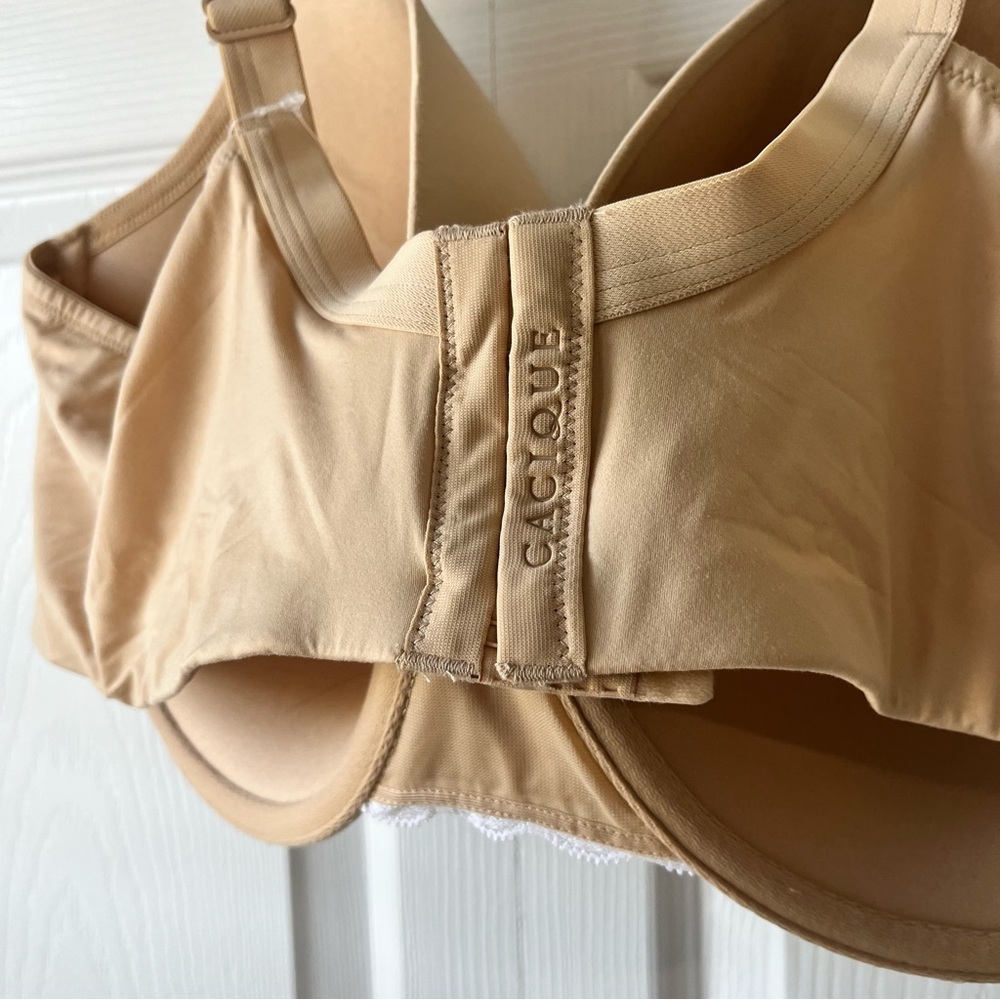 NWT Cacique Lightly Lined Full Coverage Bra 50 DDD - Picture 5 of 5